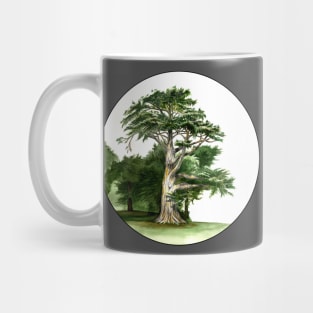 Cypress Tree Watercolor Alamo Square Park San Francisco Mug